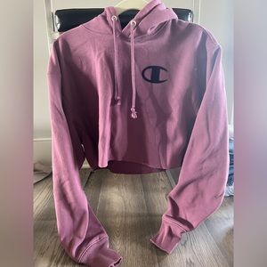 Purple Champion Sweatshirt Small